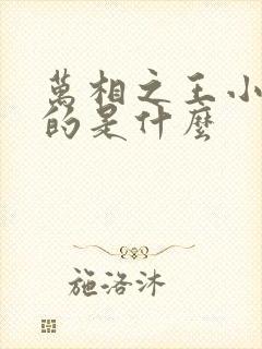 万相之王小说讲的是什么