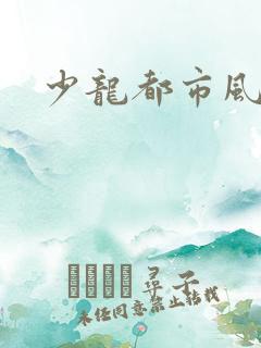 少龙都市风流行