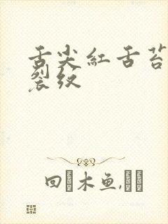 舌尖红舌苔白有裂纹