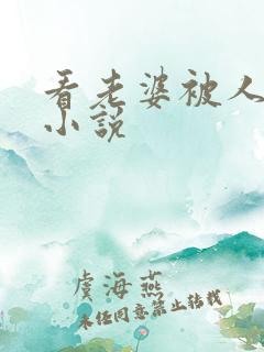 看老婆被人操的小说