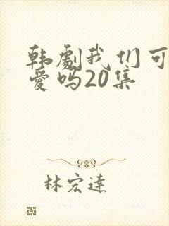 韩剧我们可以相爱吗20集