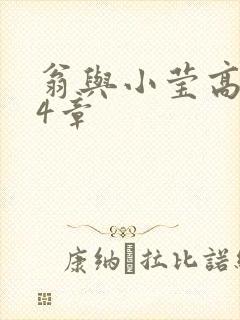 翁与小莹高潮24章