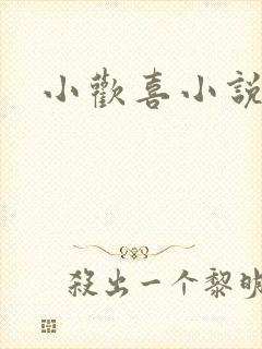 小欢喜小说