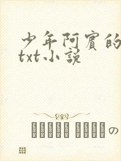 少年阿宾的故事txt小说