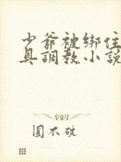 少爷被绑住用刑具调教小说