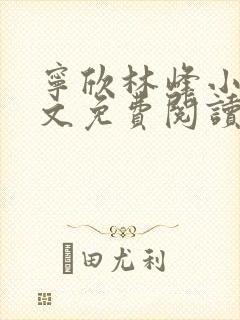 宁欣林峰小说全文免费阅读无弹窗