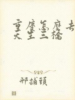 重庆怎么去武隆天生三桥