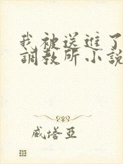 我被送进了私奴调教所小说