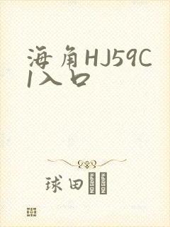 海角HJ59C1入口