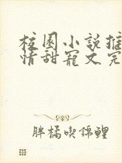 校园小说推荐言情甜宠文完结