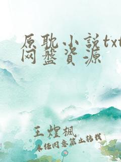 原耽小说txt网盘资源