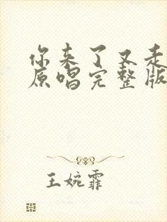 你来了又走歌曲原唱完整版