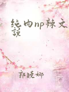纯肉np辣文小说