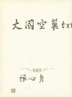 大国空巢txt