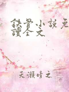 铁骨小说免费阅读全文