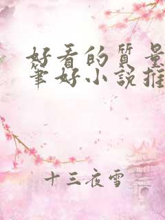 好看的质量高文笔好小说推荐