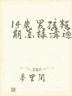 14岁男孩叛逆期怎样沟通