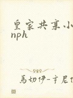 皇家共享小公主nph