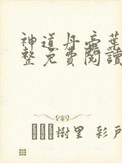 神道丹帝叶尘完整免费阅读