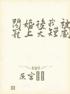 闪婚后我被总裁宠上天短剧