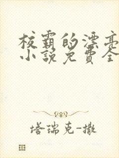 校霸的漂亮继父小说免费全文阅读