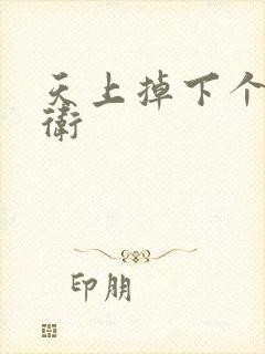 天上掉下个影卫卫