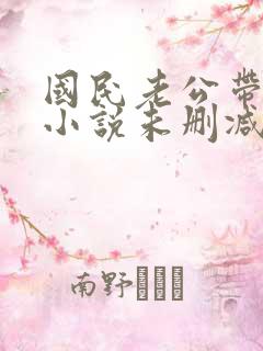 国民老公带回家小说未删减