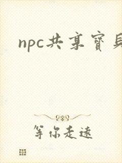 npc共享宝贝