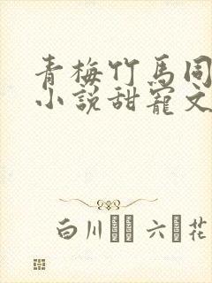 青梅竹马同居的小说甜宠文