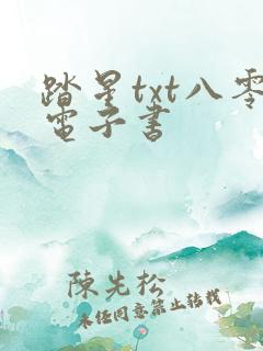 踏星txt八零电子书
