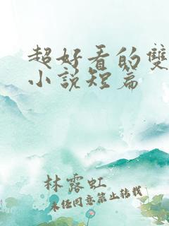 超好看的双男主小说短篇