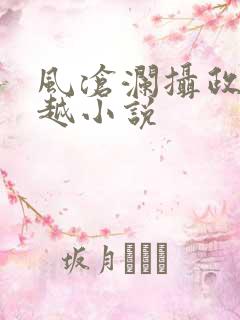 风沧澜摄政王穿越小说