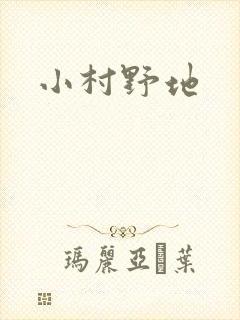小村野地