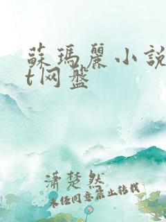 苏玛丽小说txt网盘