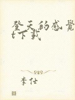 登天的感觉txt下载