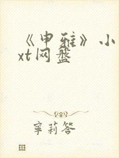 《申雅》小说txt网盘