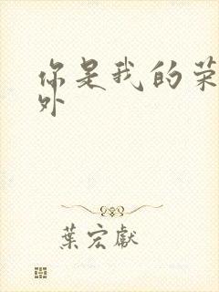 你是我的荣耀番外