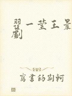 翟一莹王晨鹏短剧