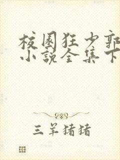 校园狂少郭飞宇小说全集下载