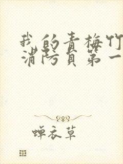 我的青梅竹马是消防员第一季无马赛