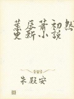 叶辰萧初然最快更新小说