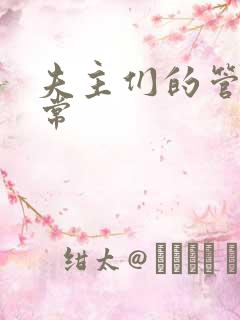 夫主们的管教日常