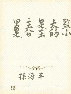 男主是太监女主是公主的小说