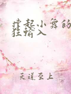 撑起小舞的腿疯狂输入