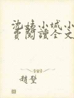 沈姨小城小说免费阅读全文最新章节