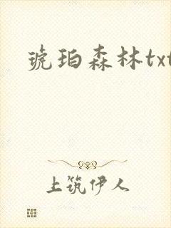 琥珀森林txt