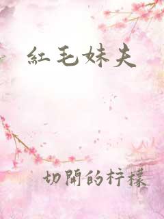 红毛妹夫
