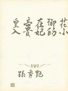 皇帝在御花园进入贵妃的小说大肚