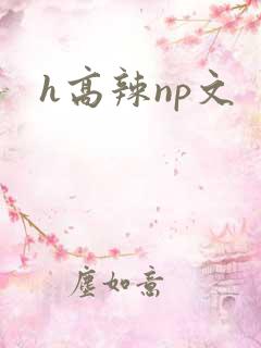 h高辣np文