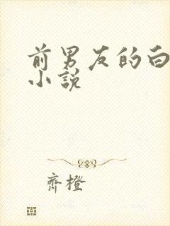 前男友的白月光小说